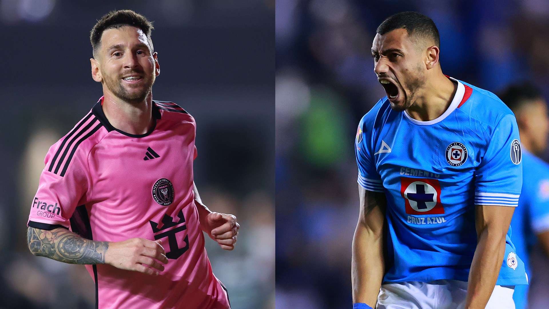 入了新鲜血 入了新鲜血